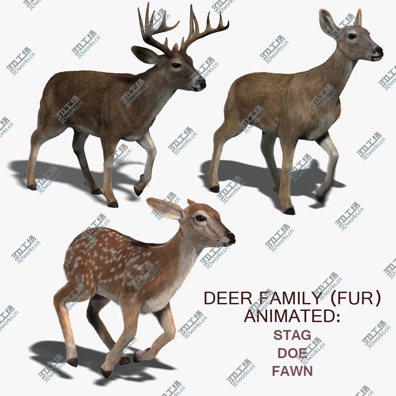 images/goods_img/20210313/Deer Family (FUR) (ANIMATED)/1.jpg
